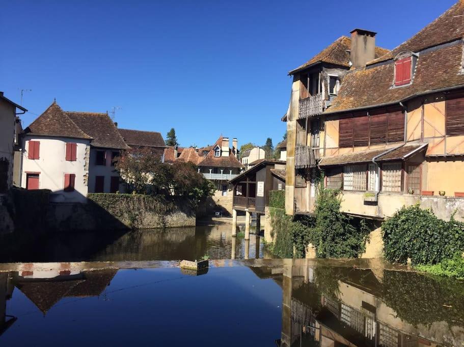 Appartement Le Nid Du Saleys - 70 M2 Centre Ville De Salies-de-Béarn エクステリア 写真